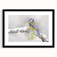Framed wall art featuring a vibrant garden birds design, showcasing colorful avian illustrations on a black mat, perfect for enhancing home decor aesthetics.