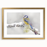 Framed wall art featuring a vibrant garden bird design in gold accents, showcasing colorful birds perched on branches, perfect for home decor.