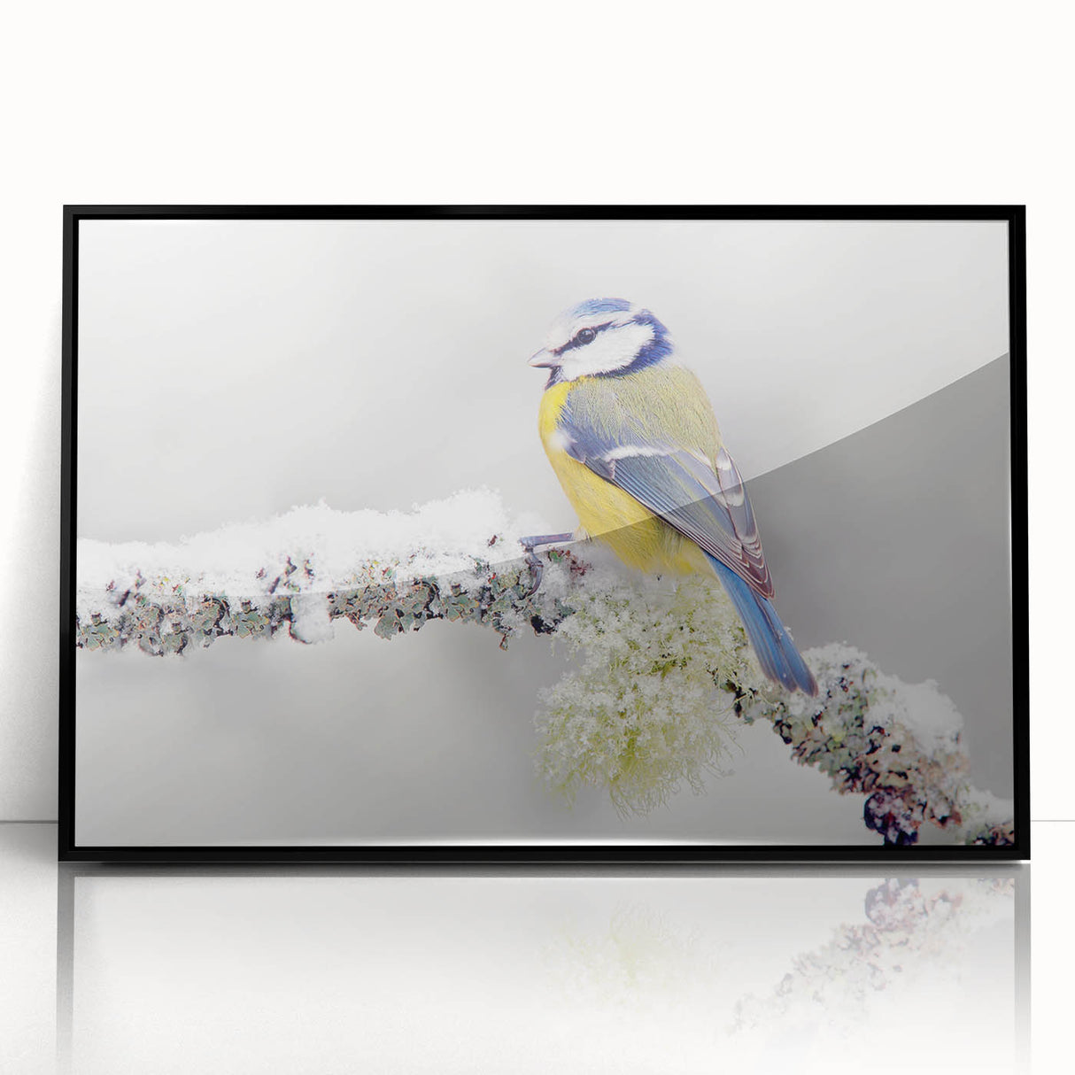 Framed wall art featuring a vibrant garden birds design with a sleek black frame, ideal for enhancing home decor with a nature-inspired aesthetic.