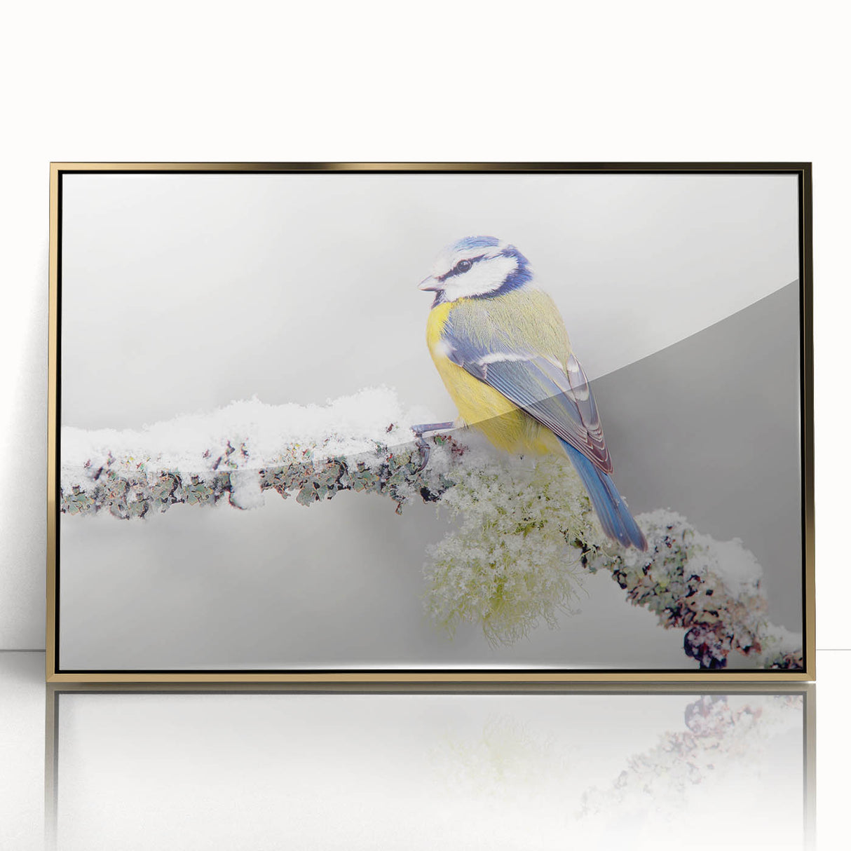Framed wall art featuring an elegant garden bird design in vibrant colors, set in a gold-acrylic frame, enhancing any interior with a touch of nature.