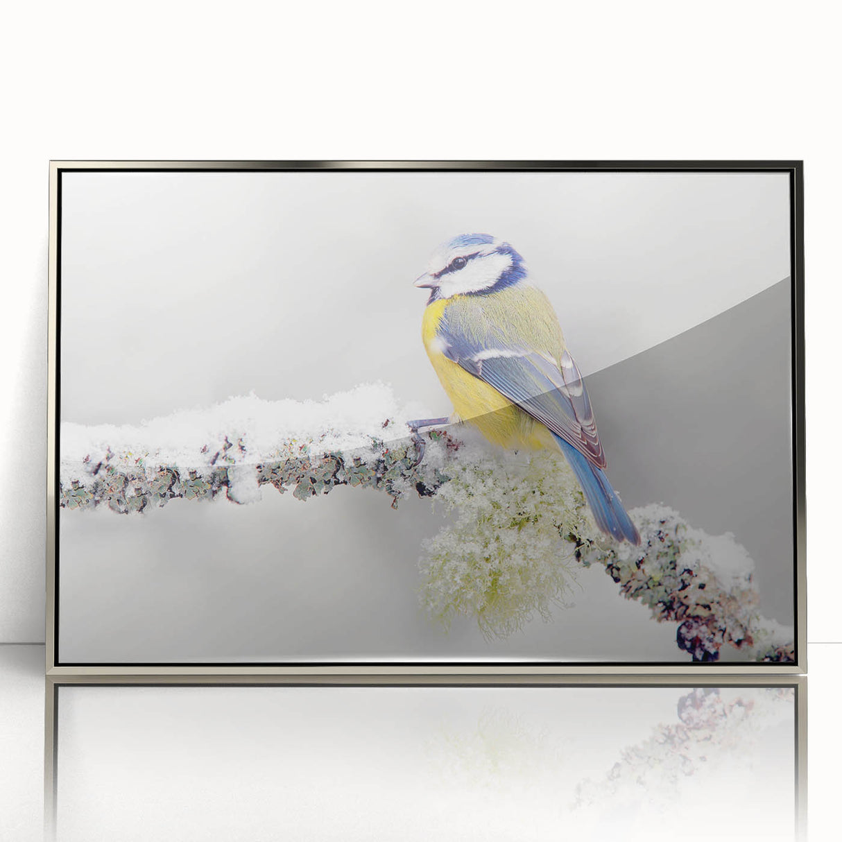 Framed wall art featuring a vibrant garden birds design with a sleek silver frame, showcasing various colorful bird species in a natural setting, perfect for home decor.