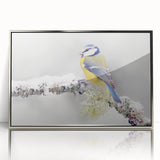 Framed wall art featuring a vibrant garden birds design with a sleek silver frame, showcasing various colorful bird species in a natural setting, perfect for home decor.