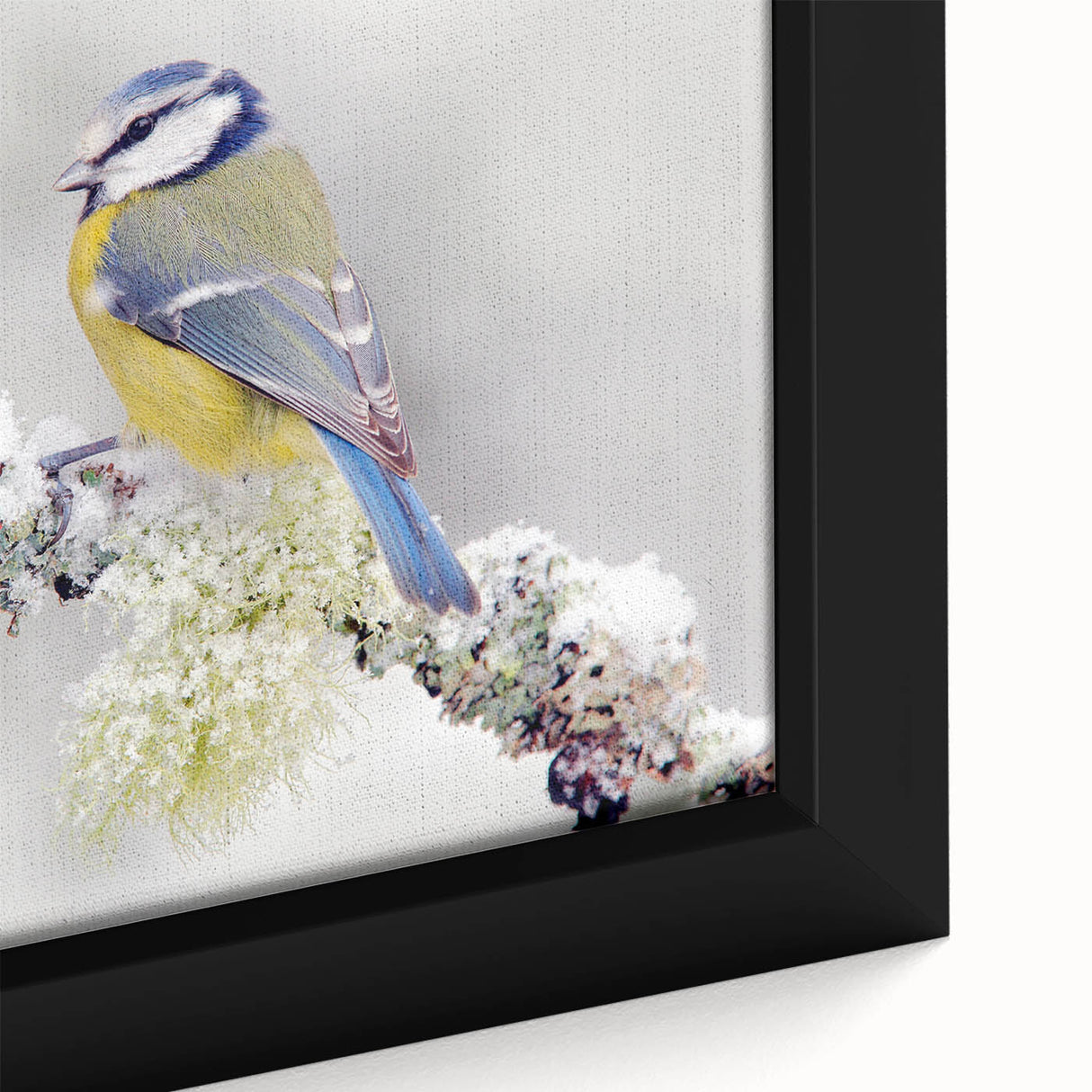 Close-up of a framed canvas wall art piece showcasing vibrant garden birds, featuring rich colors and detailed textures, perfect for enhancing home decor.