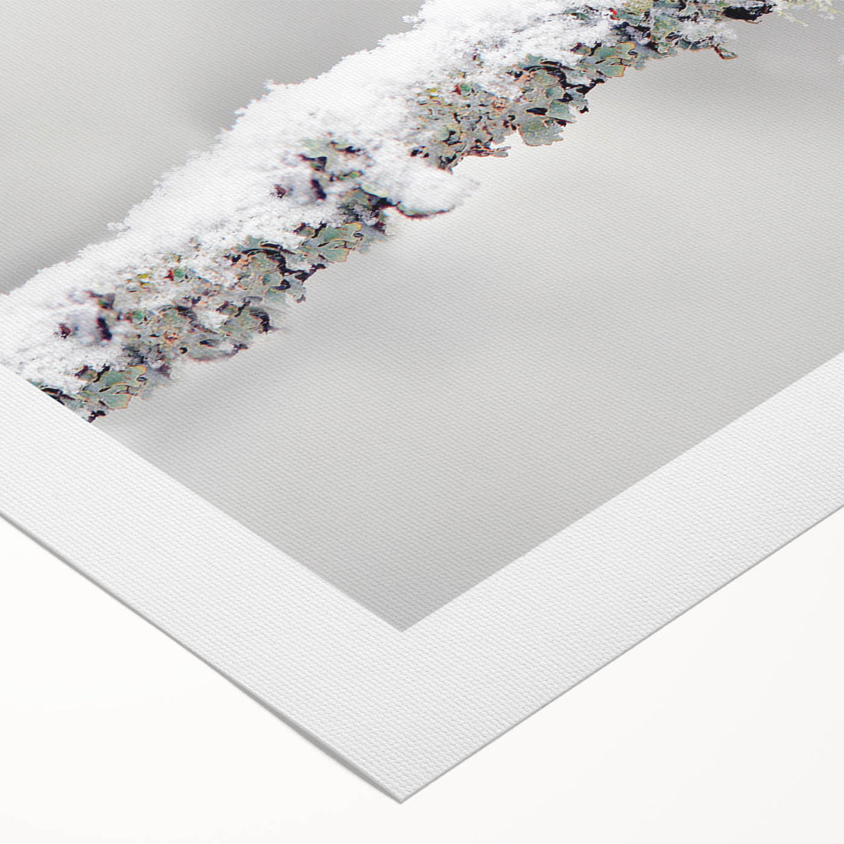 Colorful rolled canvas wall art showcasing a vibrant collection of garden birds perched amid lush greenery, perfect for nature lovers and home decor enthusiasts.