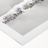 Colorful rolled canvas wall art showcasing a vibrant collection of garden birds perched amid lush greenery, perfect for nature lovers and home decor enthusiasts.