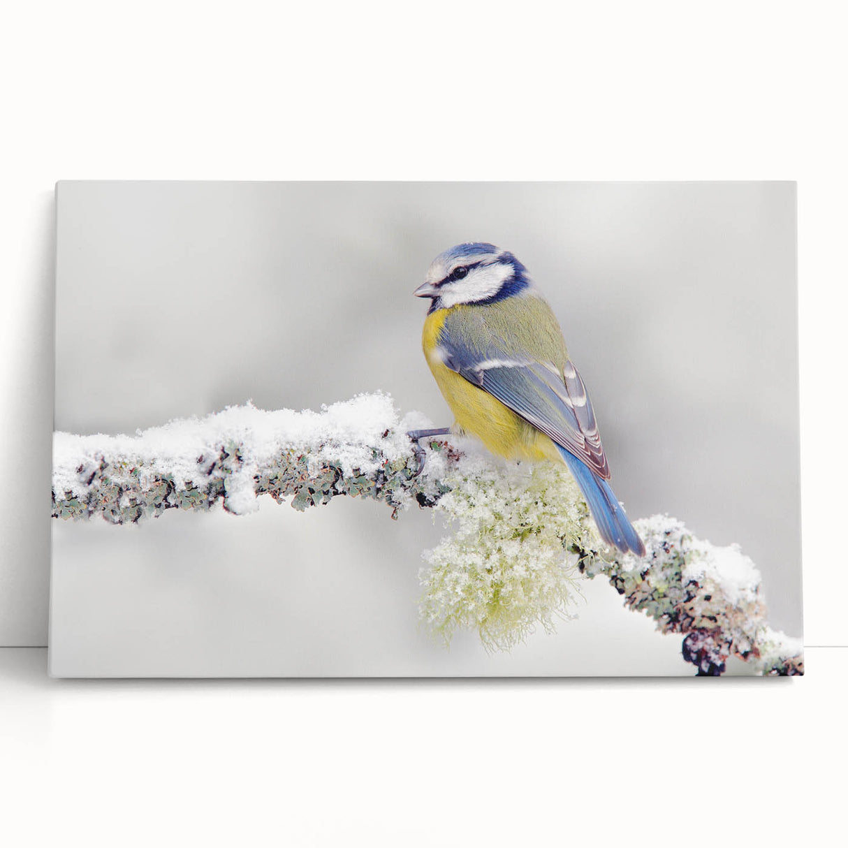 Stretched canvas wall art showcasing a vibrant design of garden birds in a natural setting, perfect for enhancing home decor with a touch of nature.