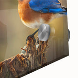 Close-up of a vibrant wall art piece depicting colorful garden birds on acrylic glass, showcasing intricate details and bright hues, perfect for nature lovers' decor.