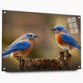 Colorful garden-themed wall art featuring various bird designs displayed in a side view, showcasing the acrylic glass finish and pin mounting, ideal for home decor.
