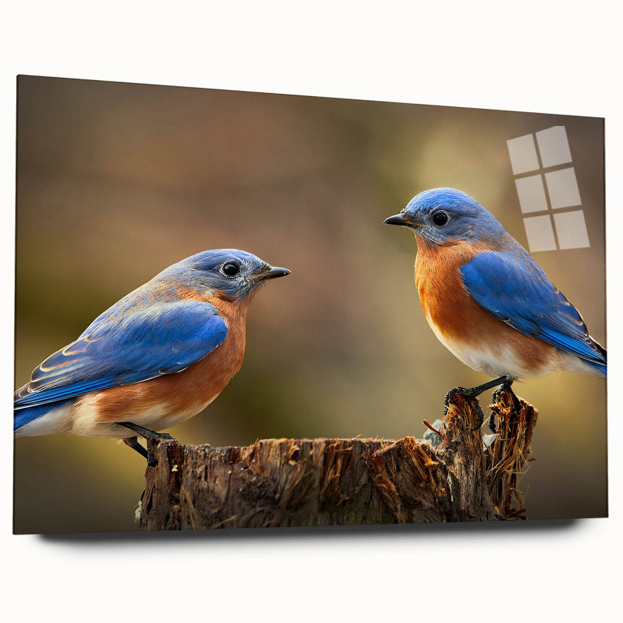 Vibrant acrylic glass wall art design showcasing colorful garden birds in a lush setting, displayed from a side view, ideal for home decor enthusiasts.
