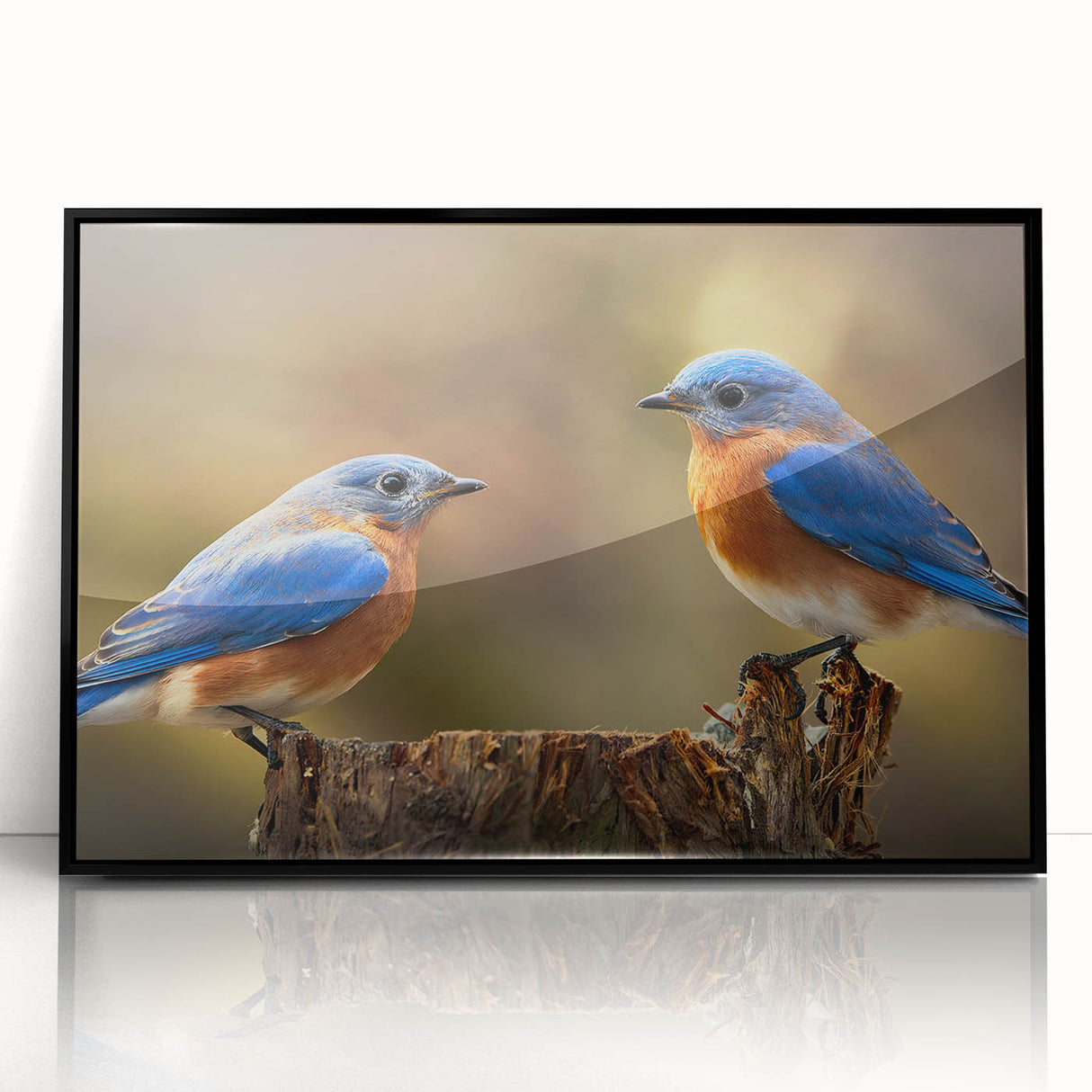 Framed wall art featuring a vibrant garden birds design in acrylic, with a sleek black frame, perfect for enhancing home decor and bringing a touch of nature indoors.