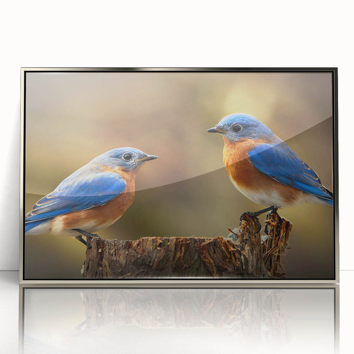 Framed wall art showcasing a vibrant garden birds design with acrylic glass front, elegantly styled with silver accents, perfect for home decor.