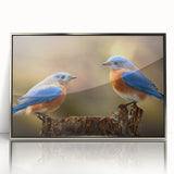 Framed wall art showcasing a vibrant garden birds design with acrylic glass front, elegantly styled with silver accents, perfect for home decor.