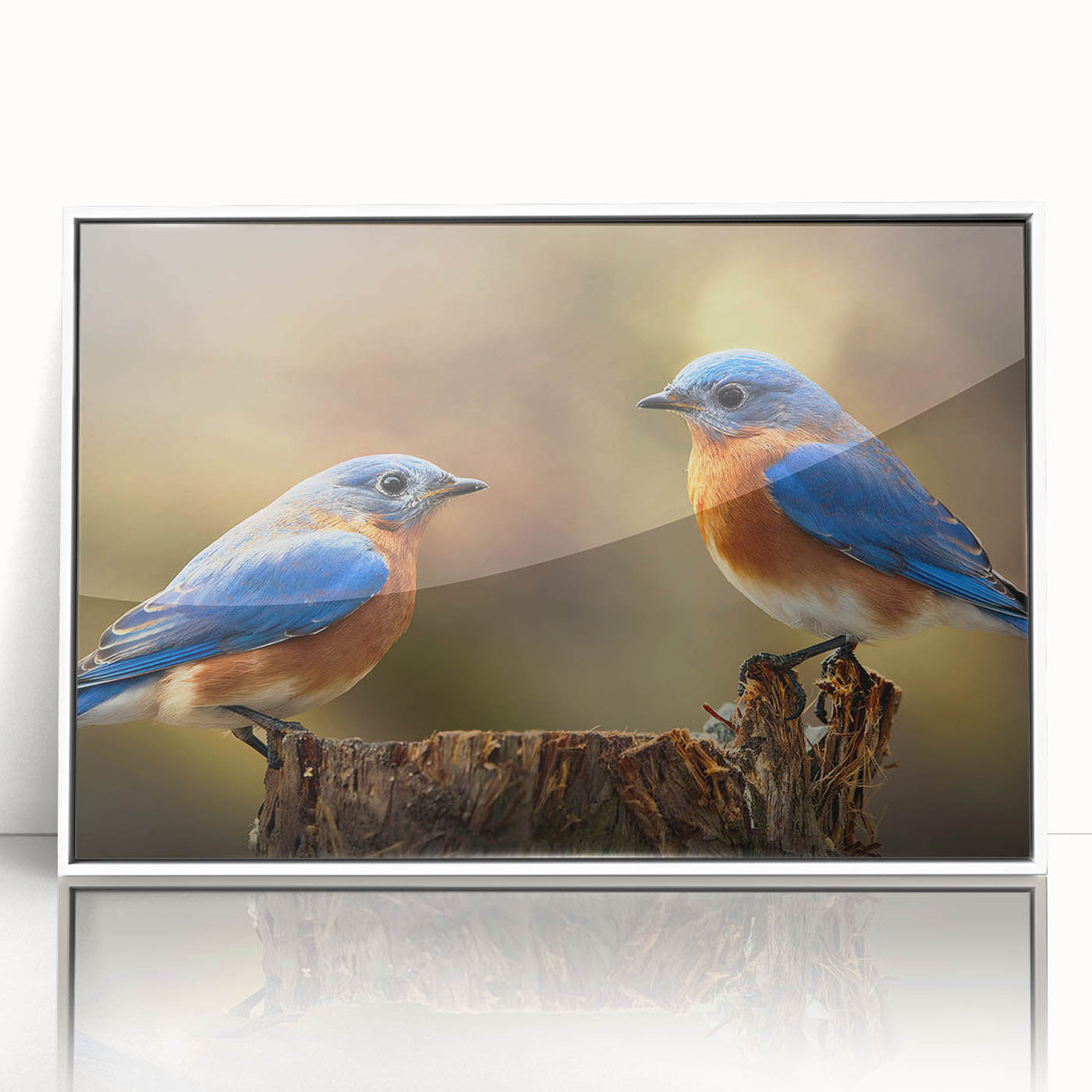 Framed acrylic wall art featuring a vibrant garden birds design, showcasing colorful birds set against a white background, perfect for home decor enhancement.
