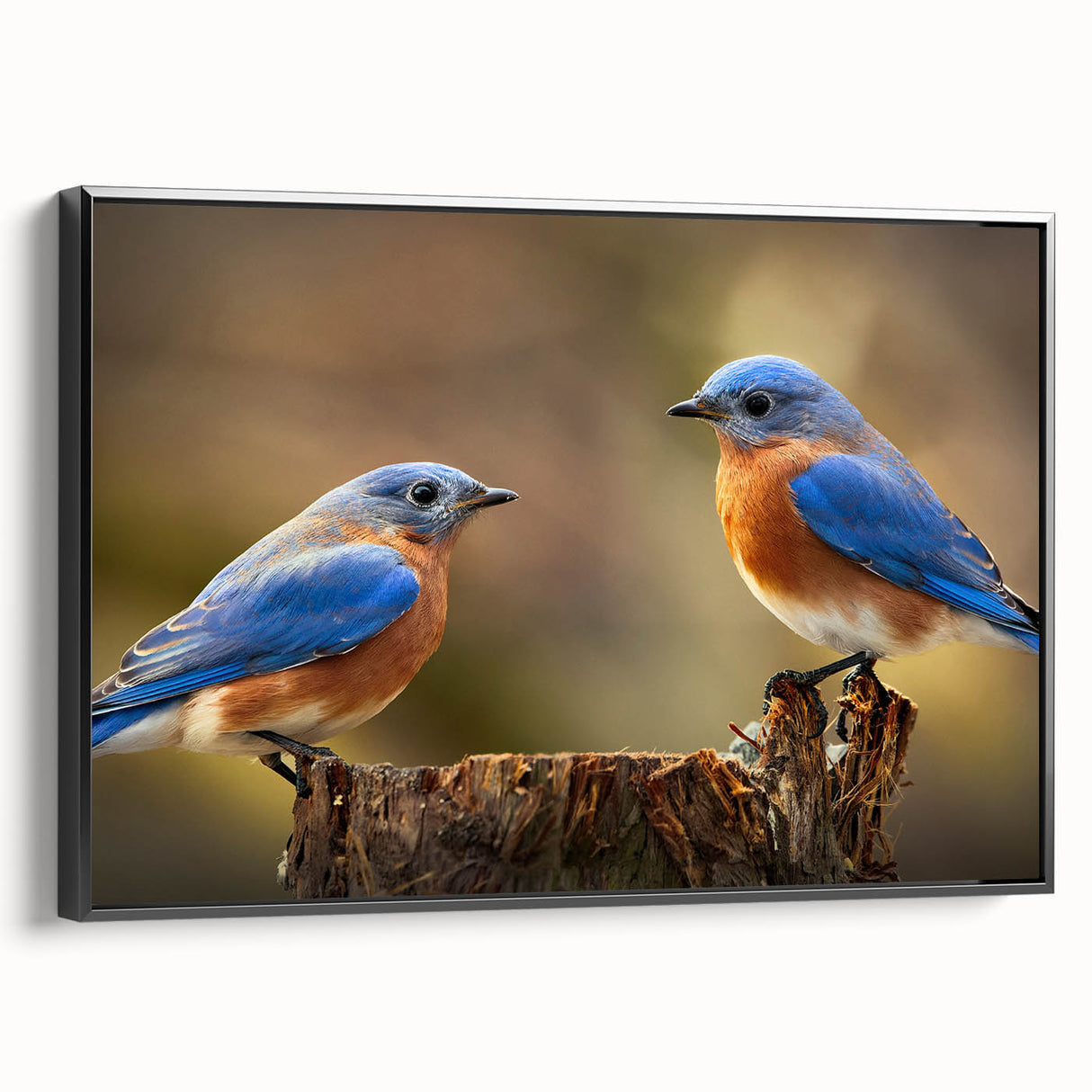 Framed canvas wall art featuring a vibrant garden birds design, showcasing colorful birds perched among lush greenery, with a sleek black frame for modern decor. Ideal for nature lovers and home decoration.