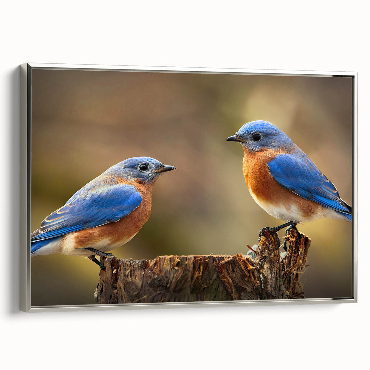 Framed canvas wall art showcasing a vibrant garden bird design in silver tones, ideal for home decor, enhancing any living space with nature-inspired elegance.