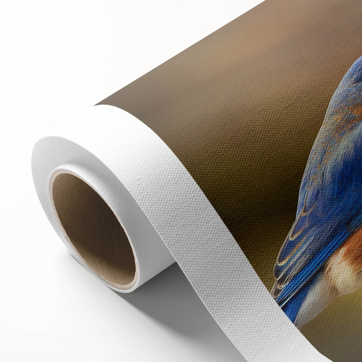 Rolled canvas displaying a vibrant garden birds design with colorful illustrations of various bird species, perfect for home decor and nature enthusiasts.