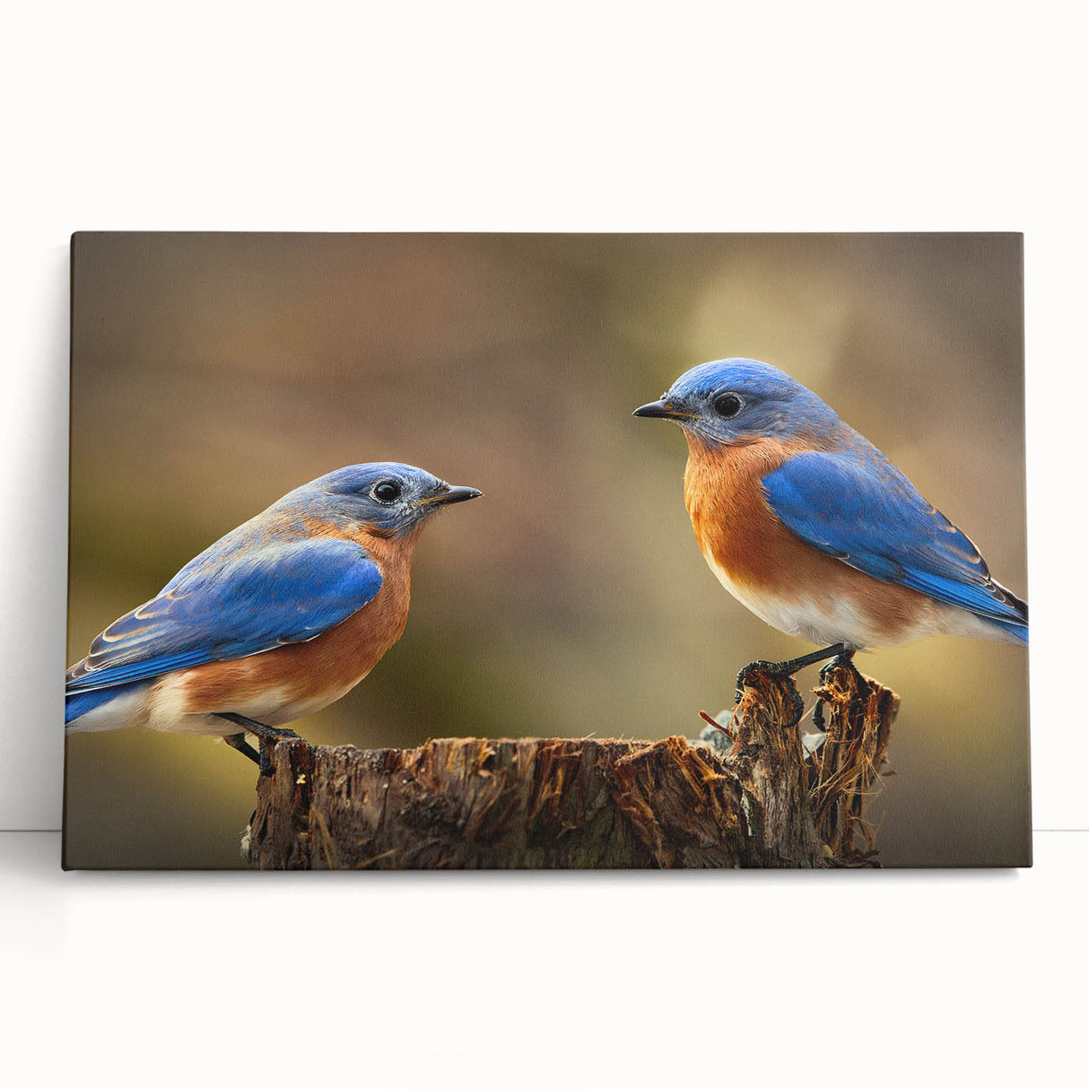 Colorful garden birds wall art design on stretched canvas, showcasing vibrant hues and intricate details, perfect for enhancing home decor and nature-themed spaces.