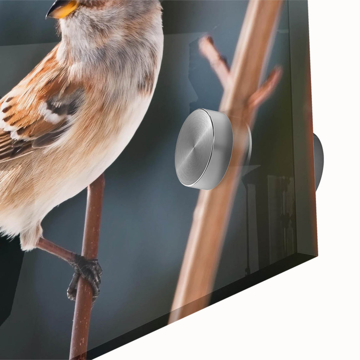 Close-up of vibrant acrylic wall art featuring colorful garden birds perched among lush greenery, showcasing intricate details and textures, perfect for nature enthusiasts.