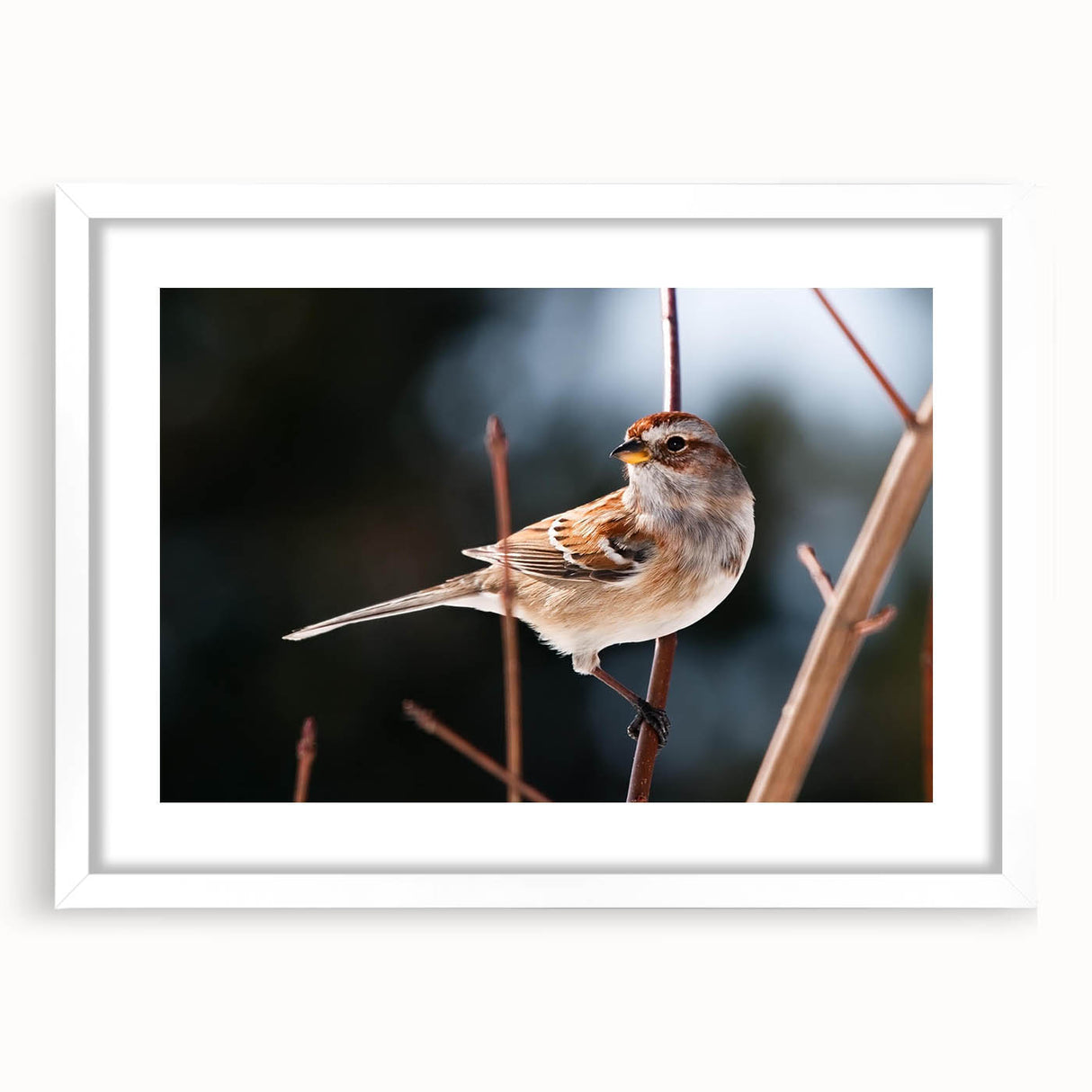 Framed wall art featuring a vibrant garden scene with various colorful birds perched among lush greenery, displayed with a white mat for an elegant finish. Perfect for nature lovers and home decor enthusiasts.
