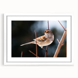 Framed wall art featuring a vibrant garden scene with various colorful birds perched among lush greenery, displayed with a white mat for an elegant finish. Perfect for nature lovers and home decor enthusiasts.