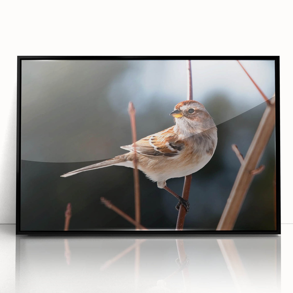 Framed wall art featuring a vibrant garden birds design with intricate details, set in a sleek black frame, perfect for enhancing home decor and nature-themed spaces.