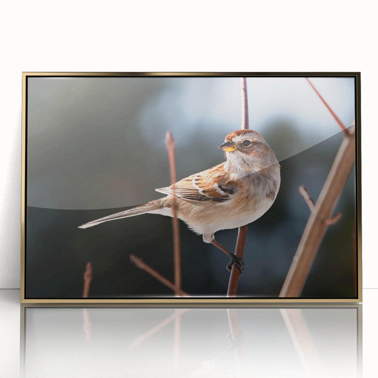 Framed wall art featuring a vibrant garden bird design in acrylic with a gold finish, showcasing colorful birds perched amidst lush greenery, ideal for home decor.