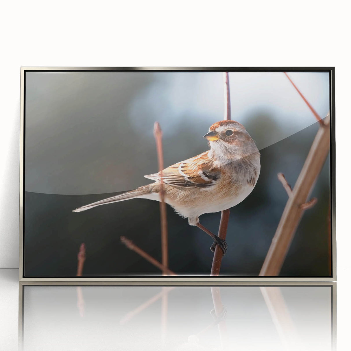 Framed wall art design featuring vibrant garden birds in a silver-acrylic frame, perfect for adding a touch of nature-inspired decor to any room.