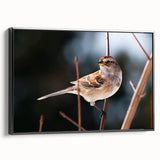 Framed wall art showcasing a vibrant garden birds design on canvas, featuring a black frame and side view display, perfect for nature-themed decor.