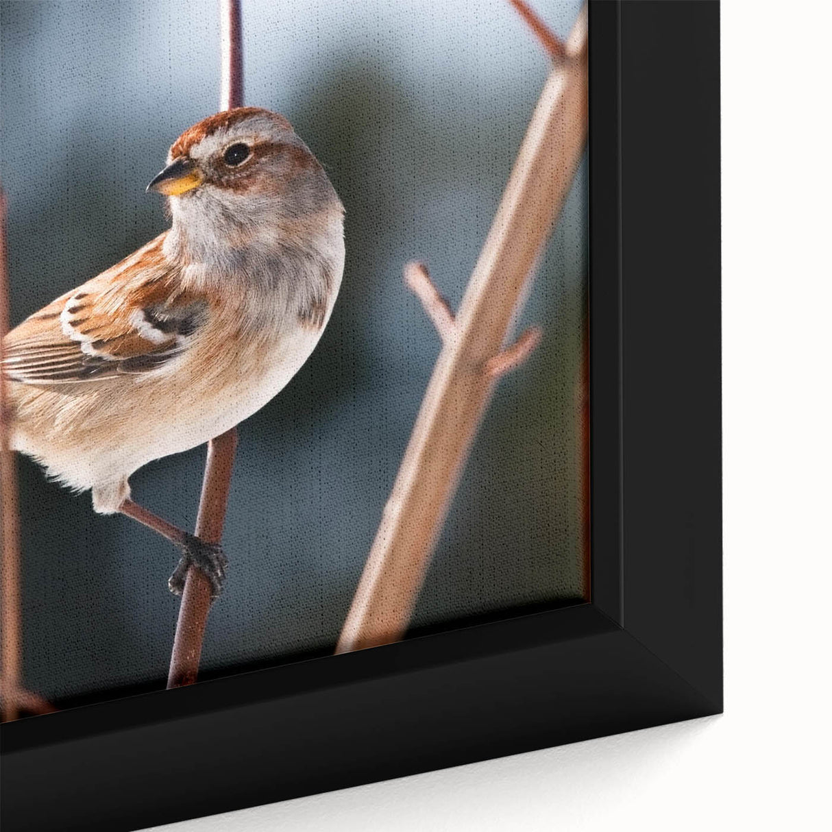 Close-up of a framed canvas showcasing a vibrant garden birds design, featuring colorful avian illustrations on a textured background, perfect for home decor.