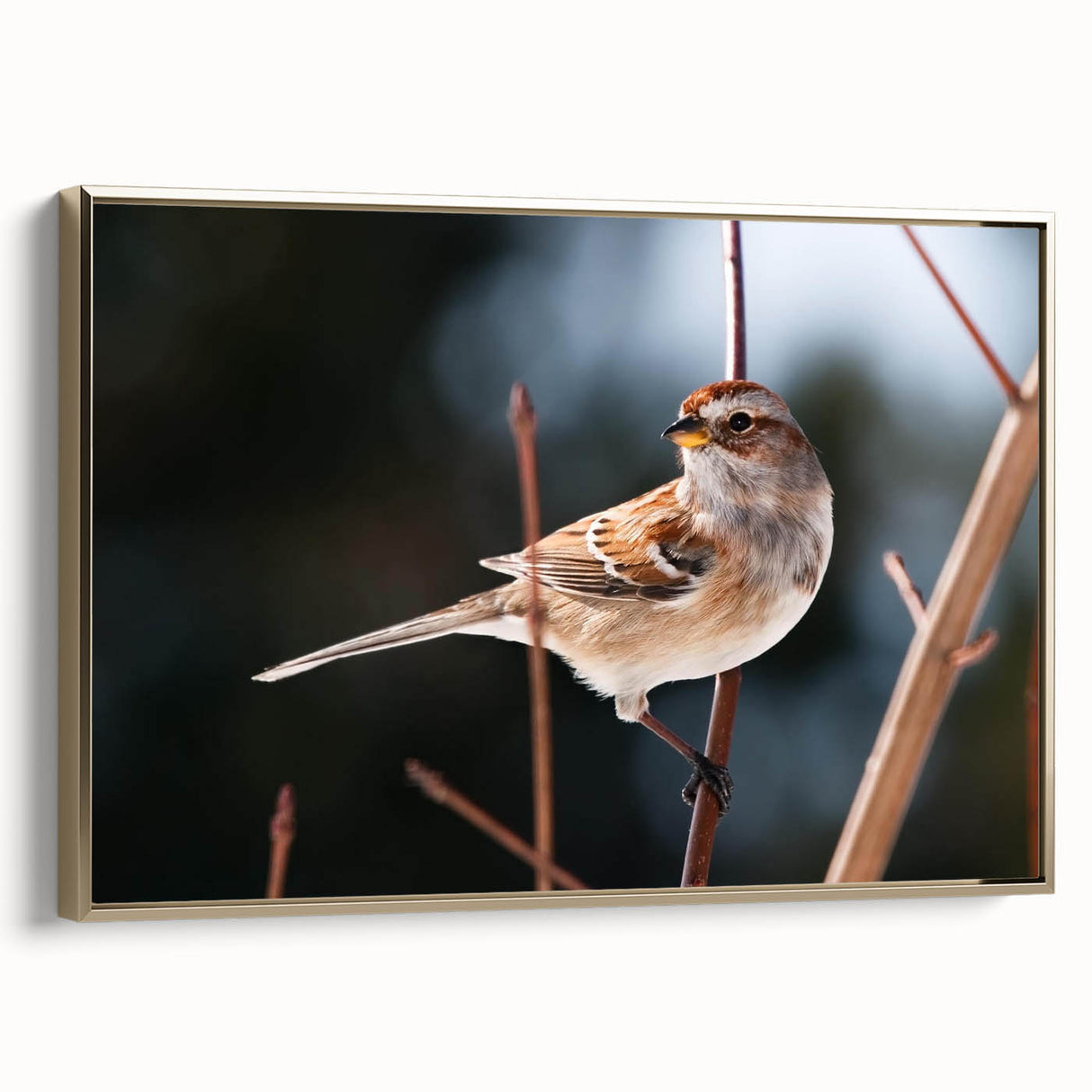 Framed canvas wall art featuring a vibrant garden birds design in gold tones, showcasing detailed illustrations of various bird species against a textured background. Ideal for nature lovers and home decor enthusiasts, this artwork adds elegance and charm to any living space.