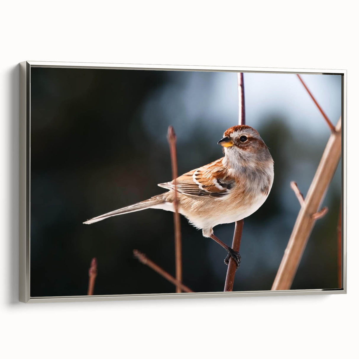 Framed canvas wall art showcasing a vibrant garden bird design with a silver frame. The artwork captures colorful birds perched among lush greenery, ideal for nature lovers.