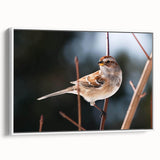 Framed canvas wall art depicting colorful garden birds perched on branches, showcasing vibrant hues of blue, green, and yellow against a white background. Ideal for nature lovers and home decor enthusiasts.