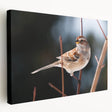 Stretched canvas wall art showcasing vibrant garden birds in a colorful design, featuring a side view that highlights textural details and artistic depth. Perfect for nature lovers and home decor enthusiasts.