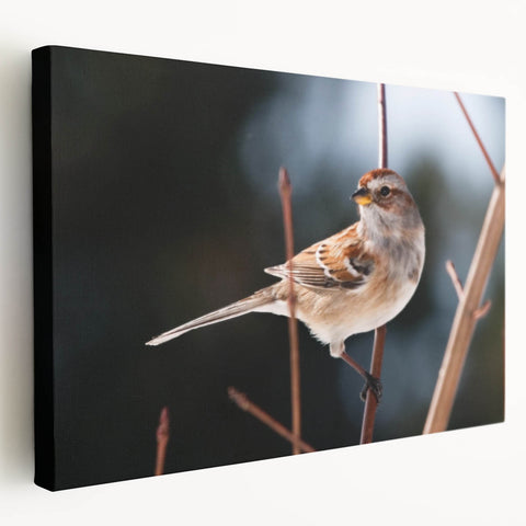 Stretched canvas wall art showcasing vibrant garden birds in a colorful design, featuring a side view that highlights textural details and artistic depth. Perfect for nature lovers and home decor enthusiasts.