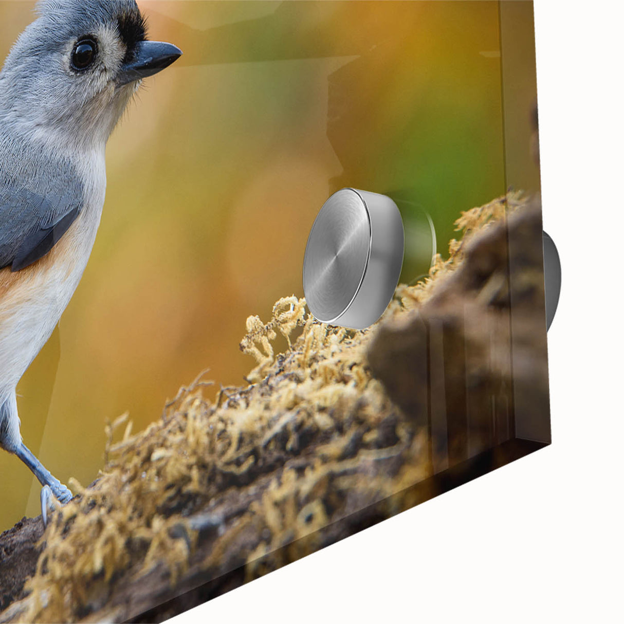 Vibrant close-up of a colorful garden birds wall art design, featuring intricate details and rich hues, ideal for enhancing home decor and nature-themed spaces.