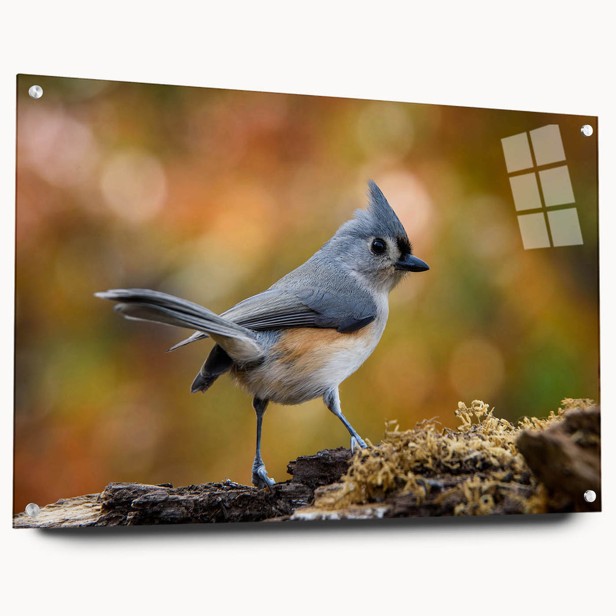 Side view of a vibrant acrylic wall art piece featuring a colorful garden bird design, mounted with pins for display, highlighting intricate details and textures.