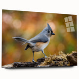 Acrylic glass wall art featuring a vibrant design of various garden birds, showcasing rich colors and intricate details, perfect for home decor.