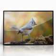 Framed black acrylic wall art featuring a vibrant garden birds design, showcasing colorful birds and lush greenery, perfect for enhancing home decor.