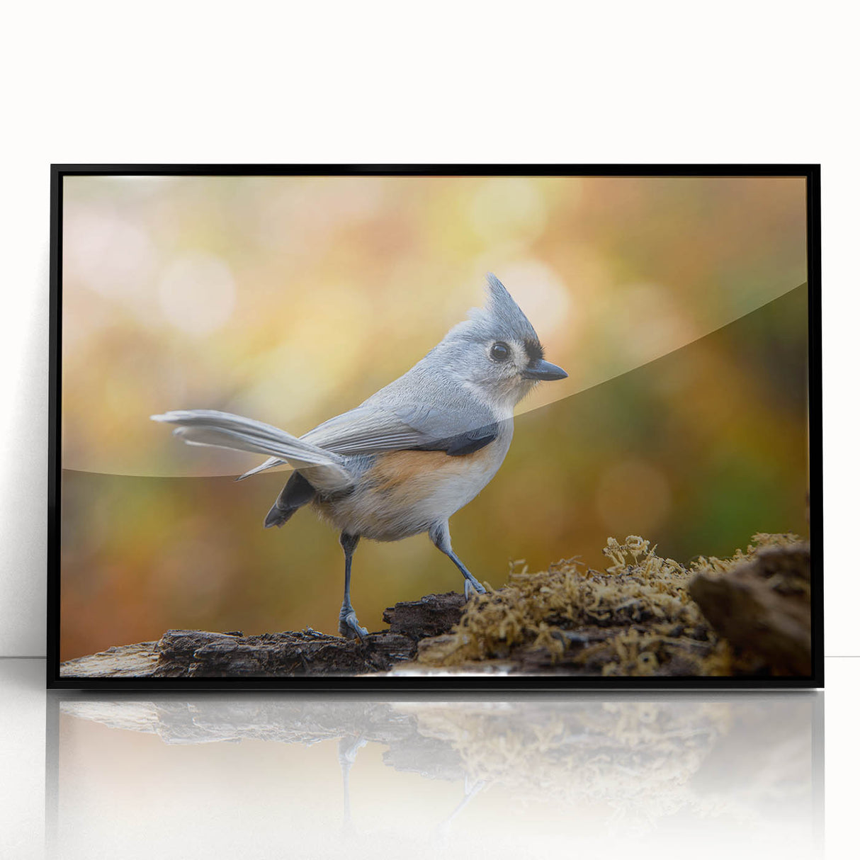 Framed black acrylic wall art featuring a vibrant garden birds design, showcasing colorful birds and lush greenery, perfect for enhancing home decor.