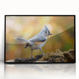 Framed black acrylic wall art featuring a vibrant garden birds design, showcasing colorful birds and lush greenery, perfect for enhancing home decor.