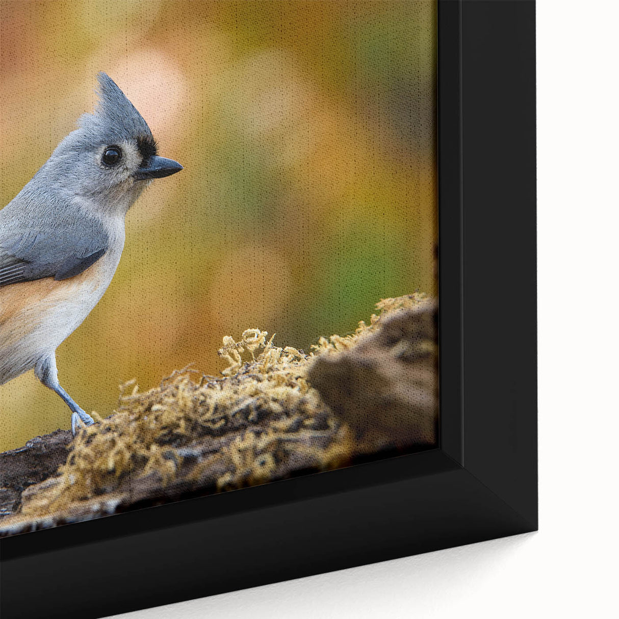 Framed close-up of a colorful garden birds wall art design, showcasing vibrant feathers and intricate details, perfect for nature-inspired home decor.