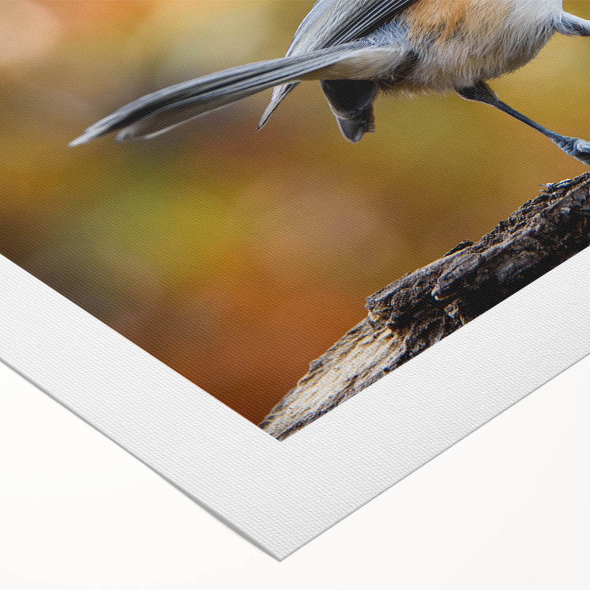 Rolled canvas art showcasing a vibrant collection of garden birds in various colors perched among lush greenery, perfect for nature enthusiasts and home decor.