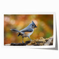 Colorful wall art featuring a collection of various garden birds, showcasing vibrant hues and intricate details, perfect for enhancing home decor or nature-themed spaces.