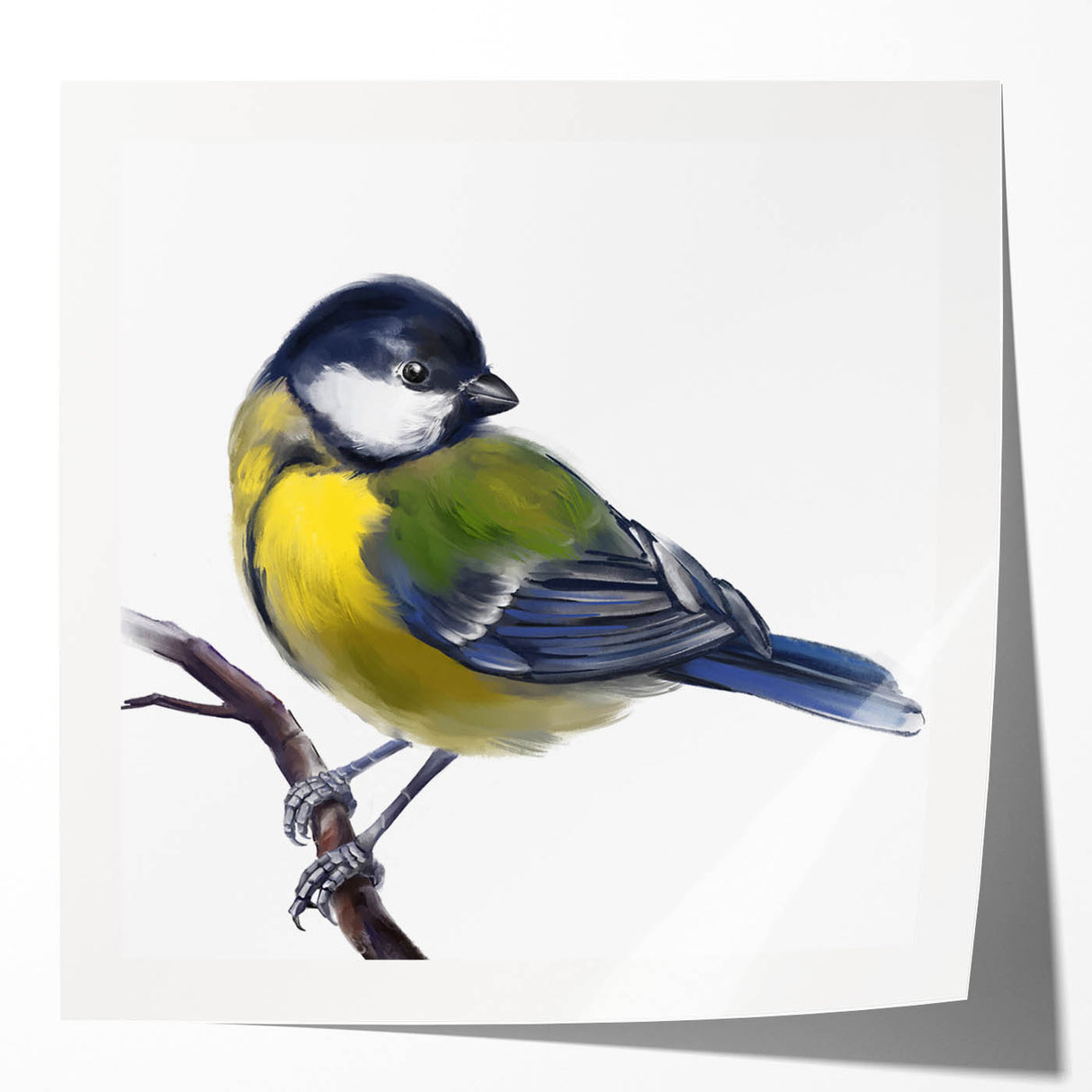 Colorful wall art collection featuring various garden birds, showcasing vibrant designs and intricate details on glossy prints, perfect for home decor enhancement.