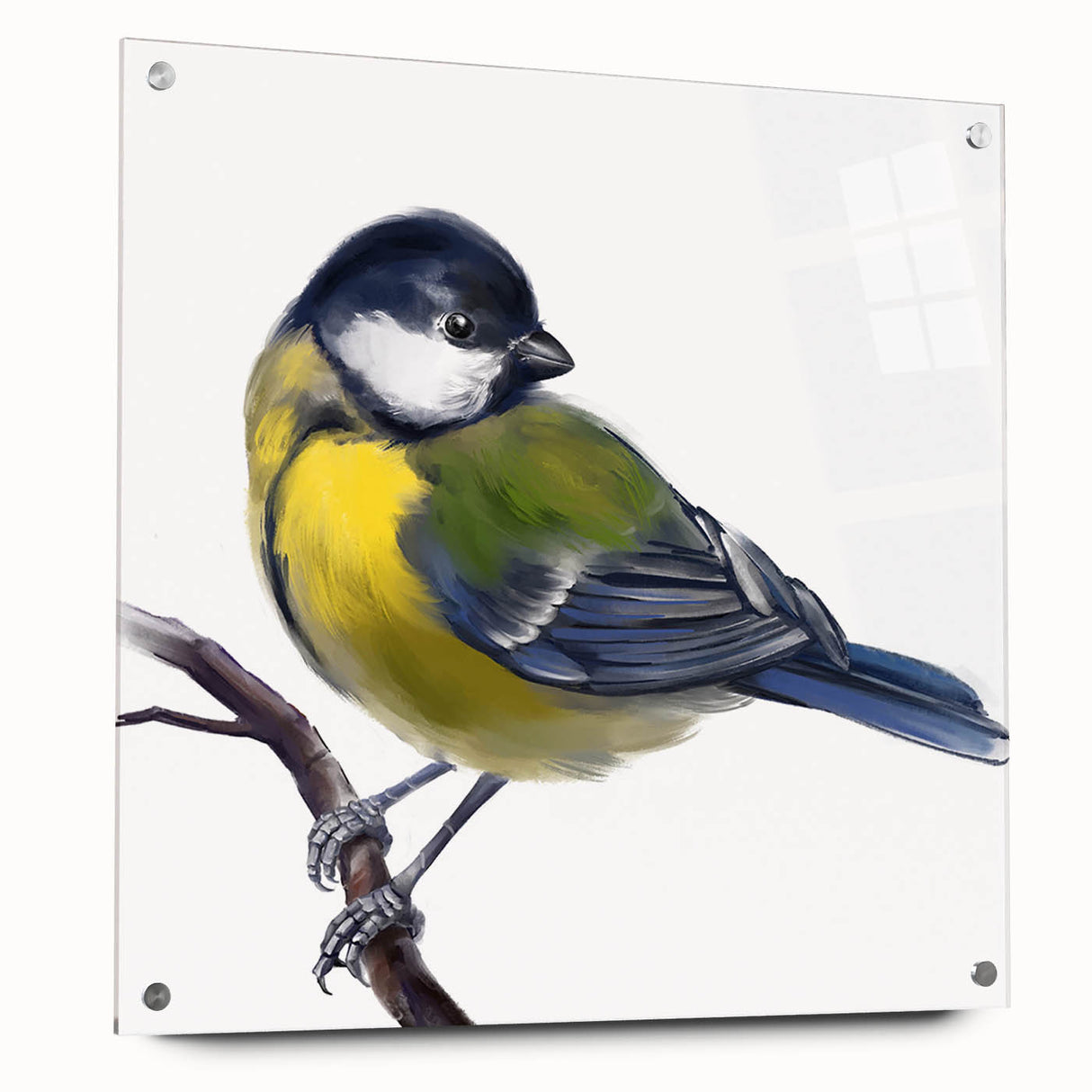 Colorful acrylic wall art collection featuring garden birds in a framed design, displayed with pins on a wooden surface, ideal for nature lovers and home decor enthusiasts.