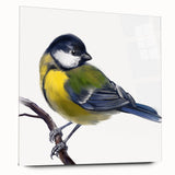 Colorful acrylic glass wall art featuring a design of various garden birds, showcased in a side view without pins, enhancing any nature-inspired interior decor.