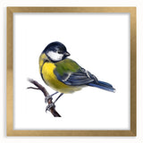 Elegant framed wall art collection showcasing a vibrant design of garden birds, featuring a gold mat and frame, perfect for home decor enthusiasts.