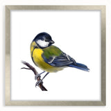 Framed wall art collection featuring elegant garden birds design in a silver frame, showcasing vibrant colors and intricate details, perfect for home décor.