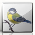 Framed acrylic wall art featuring a vibrant garden birds design, showcasing colorful avian illustrations on a black background, perfect for home decor.