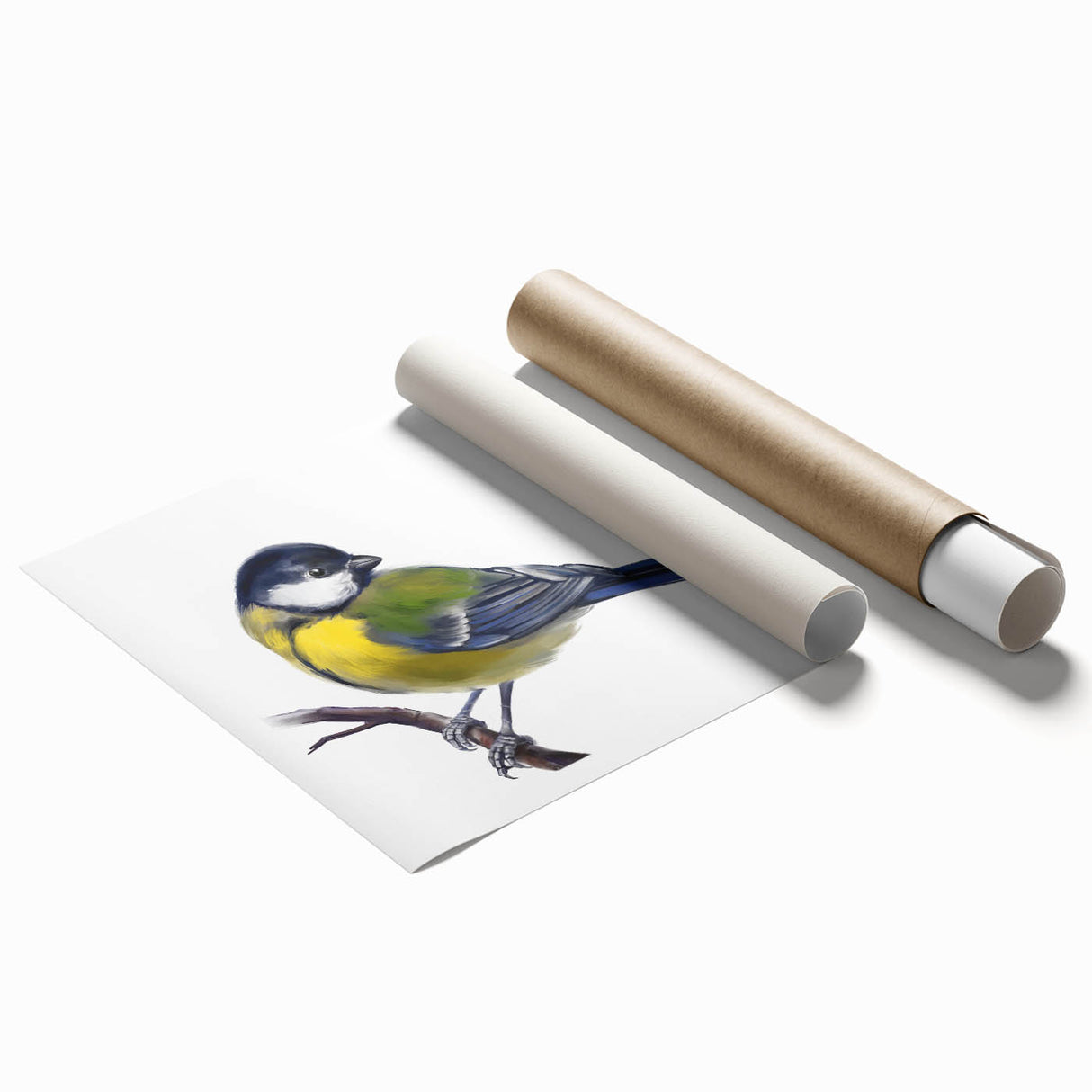 Vibrant wall art print showcasing a collection of colorful garden birds perched on branches, rolled and ready for framing, perfect for nature enthusiasts' home decor.